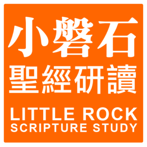 Chinese-LRSS-Little-Rock-Logo